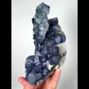 specimen video