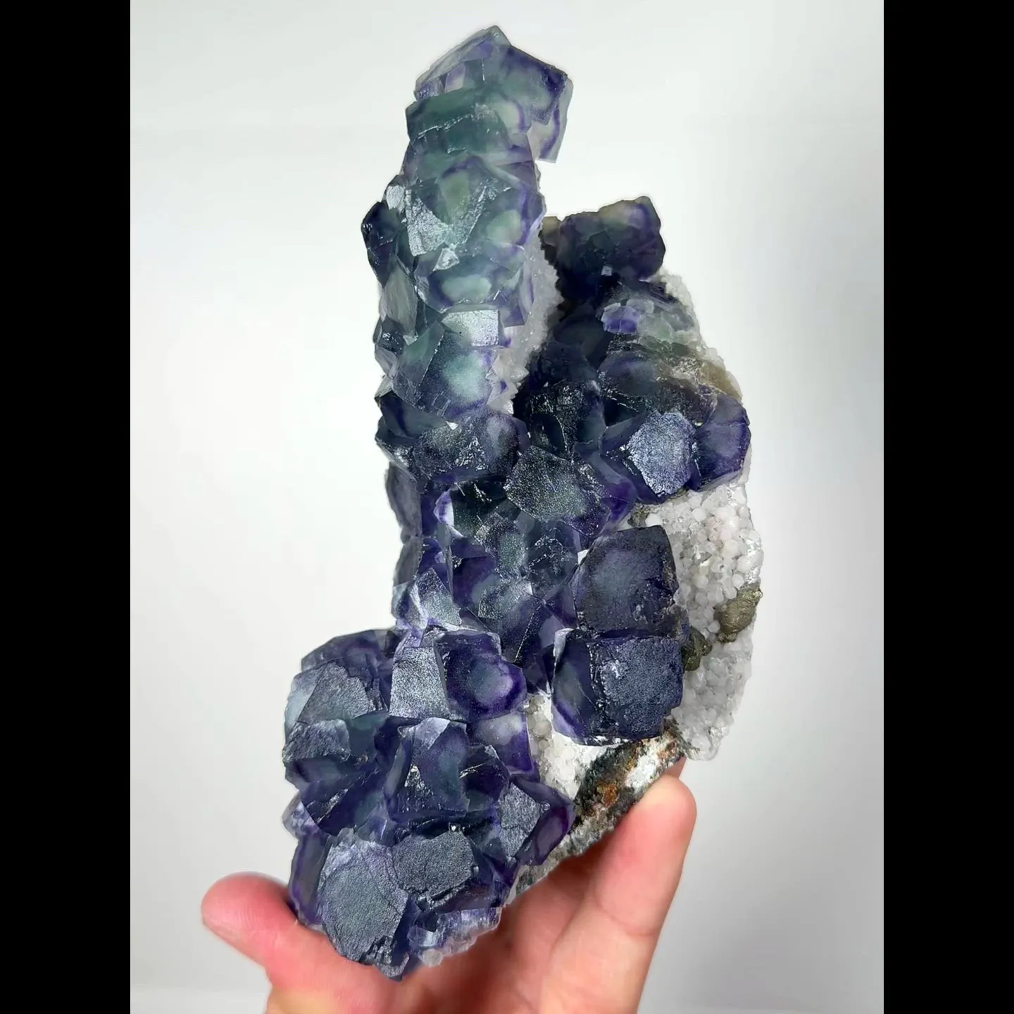specimen video