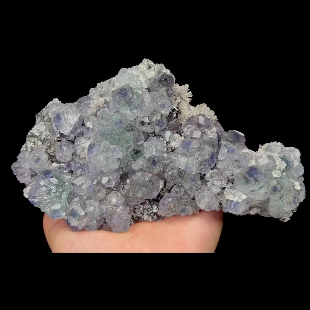 specimen video