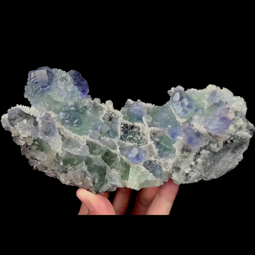 specimen video