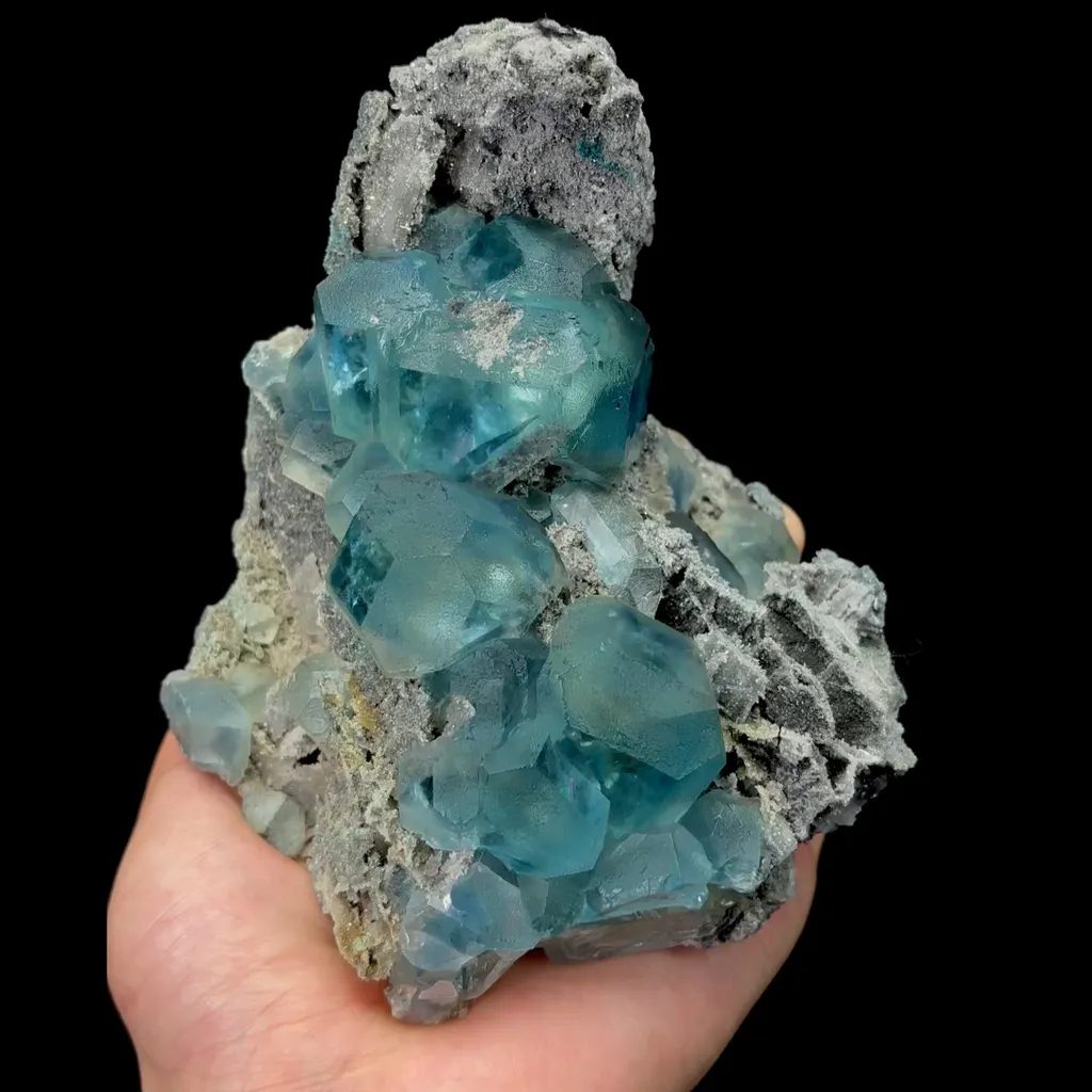 specimen video