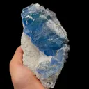 specimen video