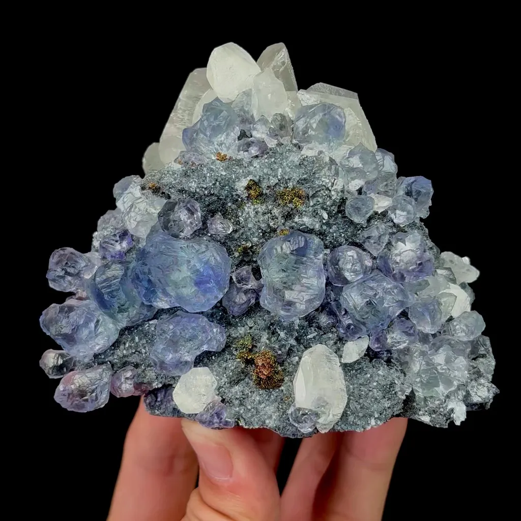 specimen video