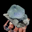 specimen video