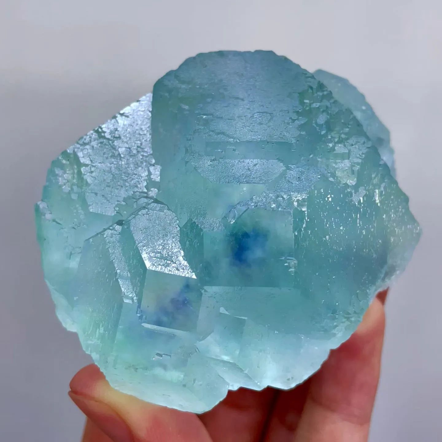 specimen video