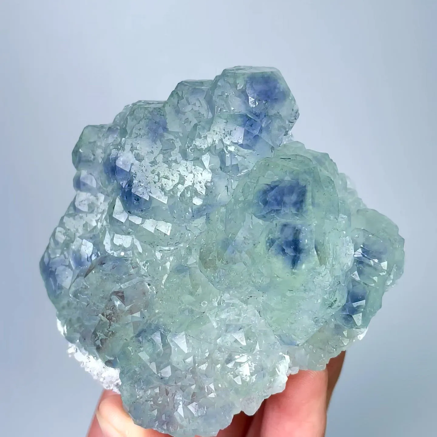 specimen video