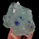 specimen video