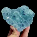 specimen video