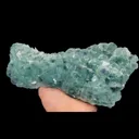 specimen video
