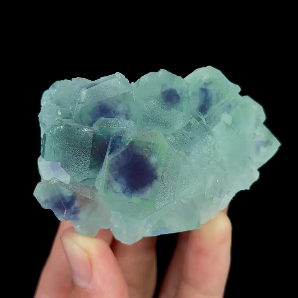 specimen video