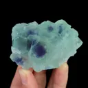 specimen video
