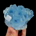specimen video