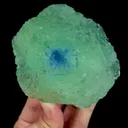 specimen video