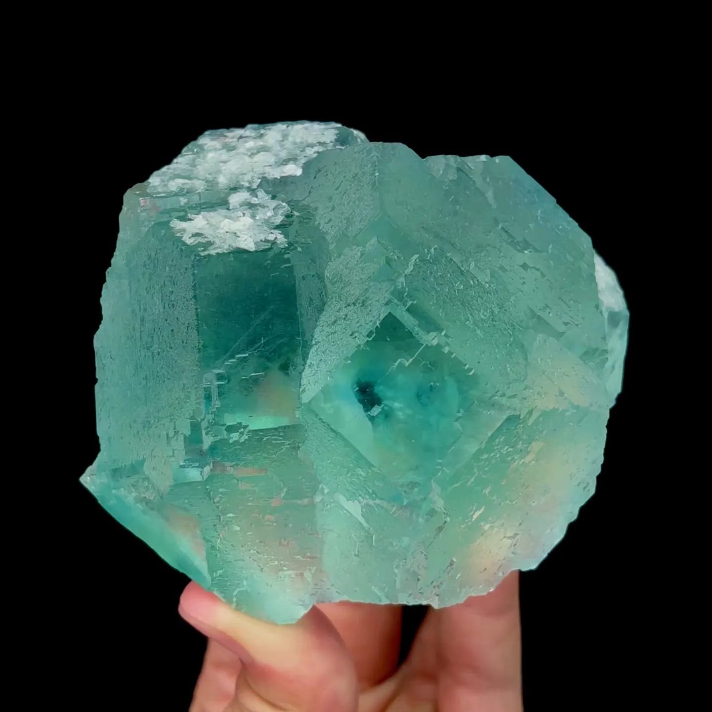 specimen video