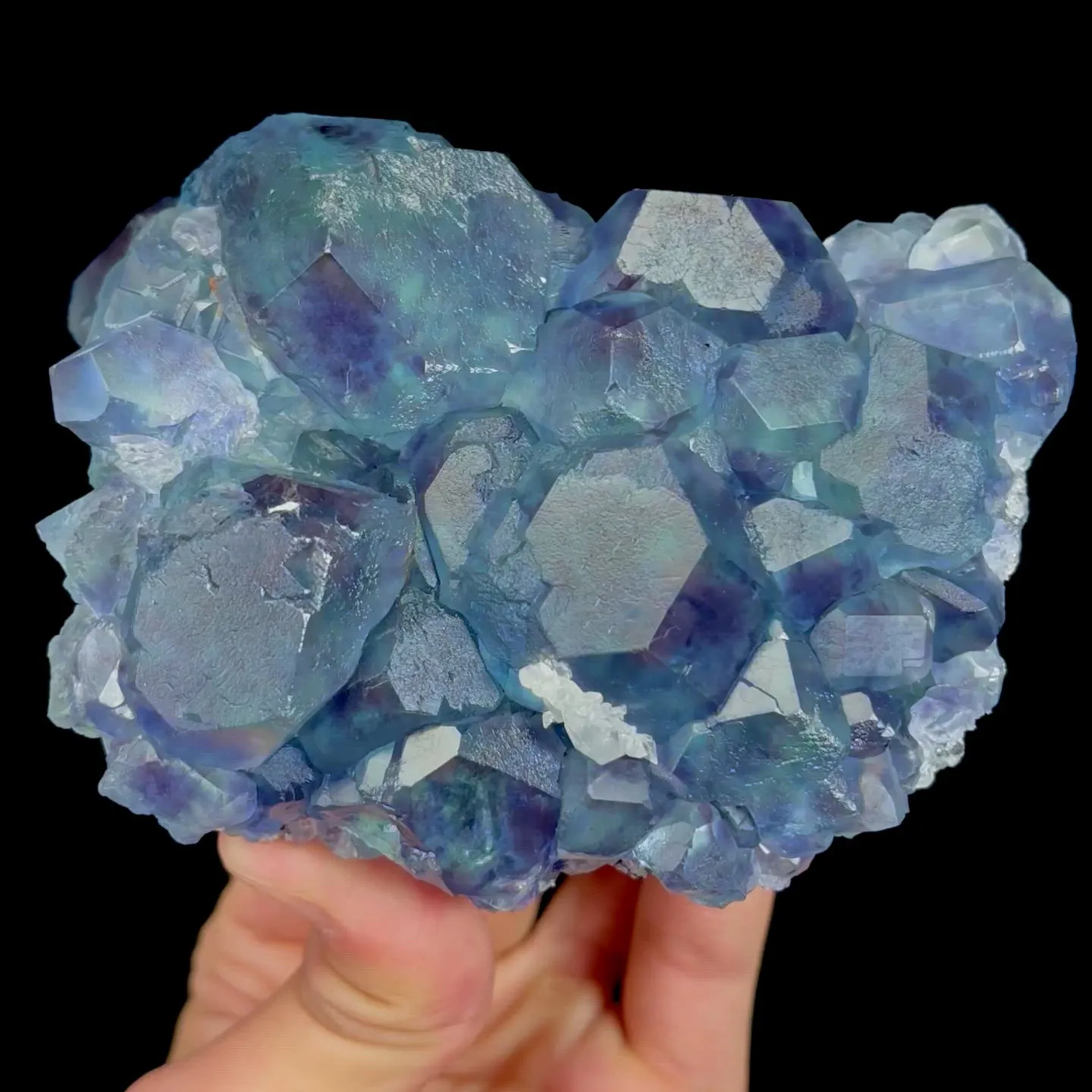 specimen video