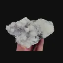 specimen video