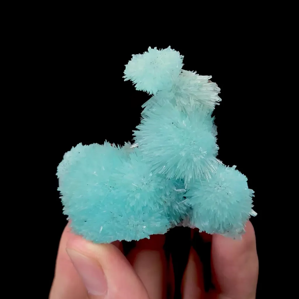 specimen video