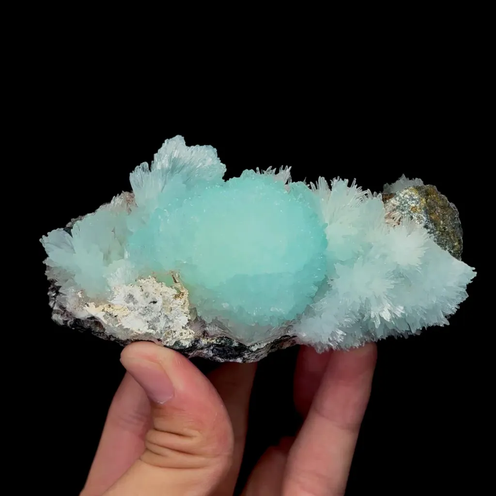 specimen video