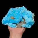 specimen video