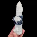 specimen video