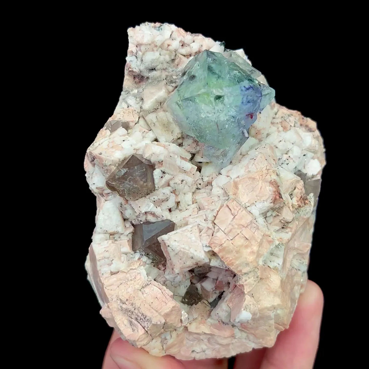 specimen video