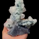 specimen video