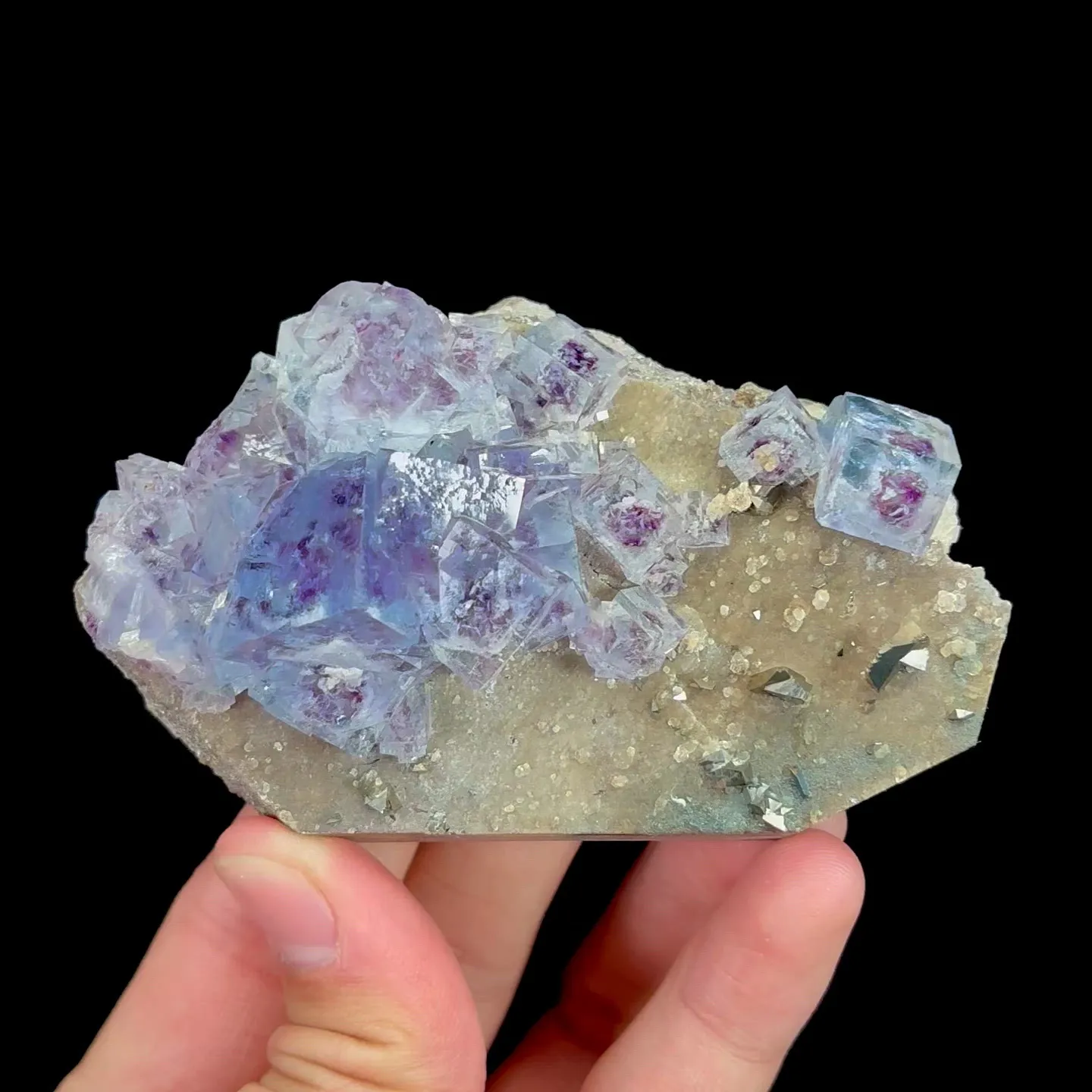 specimen video