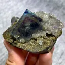 specimen video