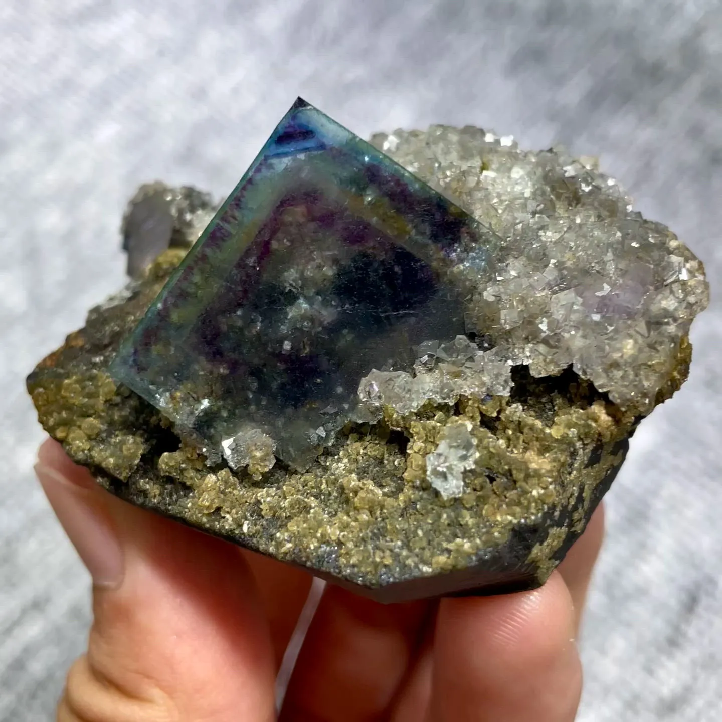 specimen video