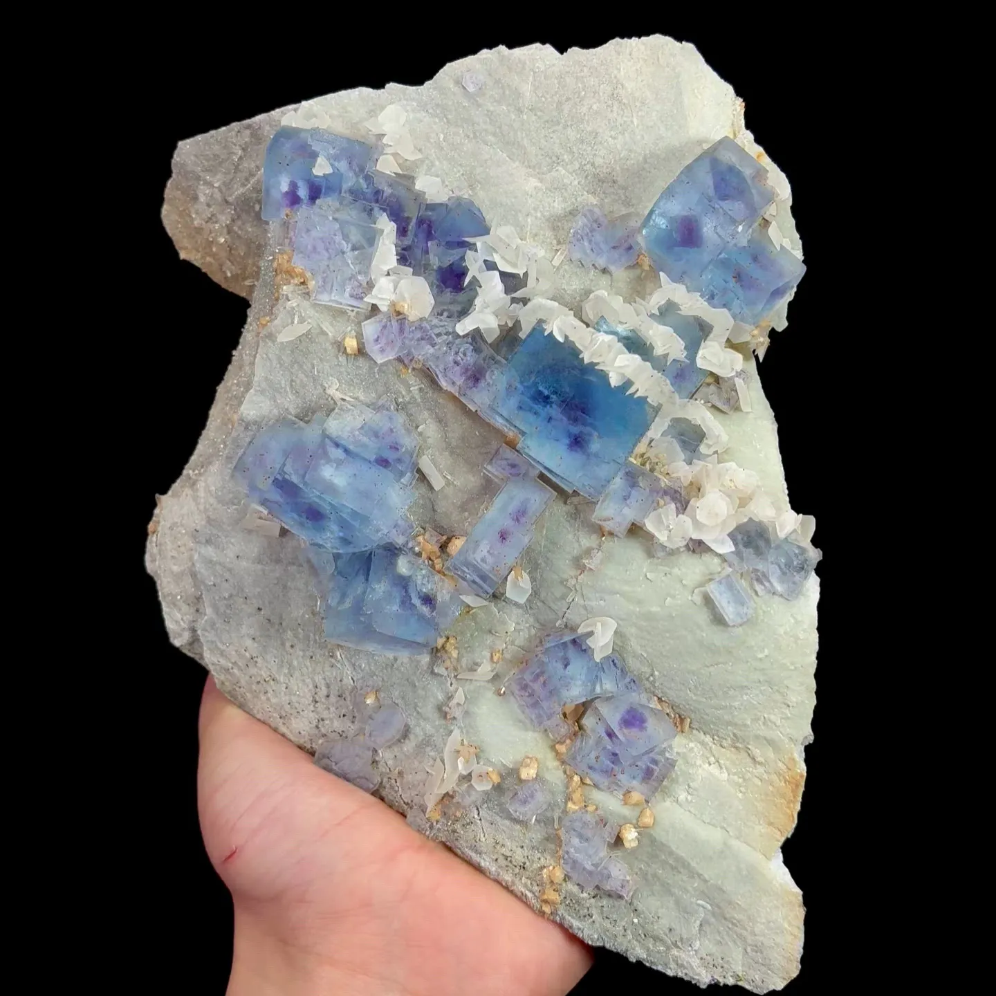 specimen video