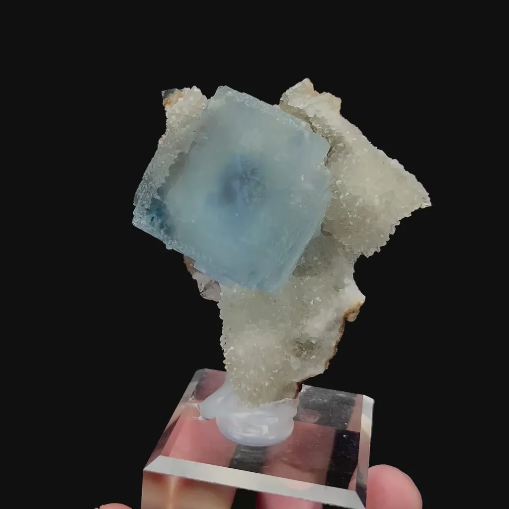 specimen video
