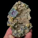 specimen video