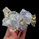 Natural Blue Phantom Fluorite and Pyrite Mineral Specimen,High Quality Specimen,YAO GANG XIAN,HUNAN,CHINA(100*60*40mm) - image 1