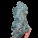 specimen video