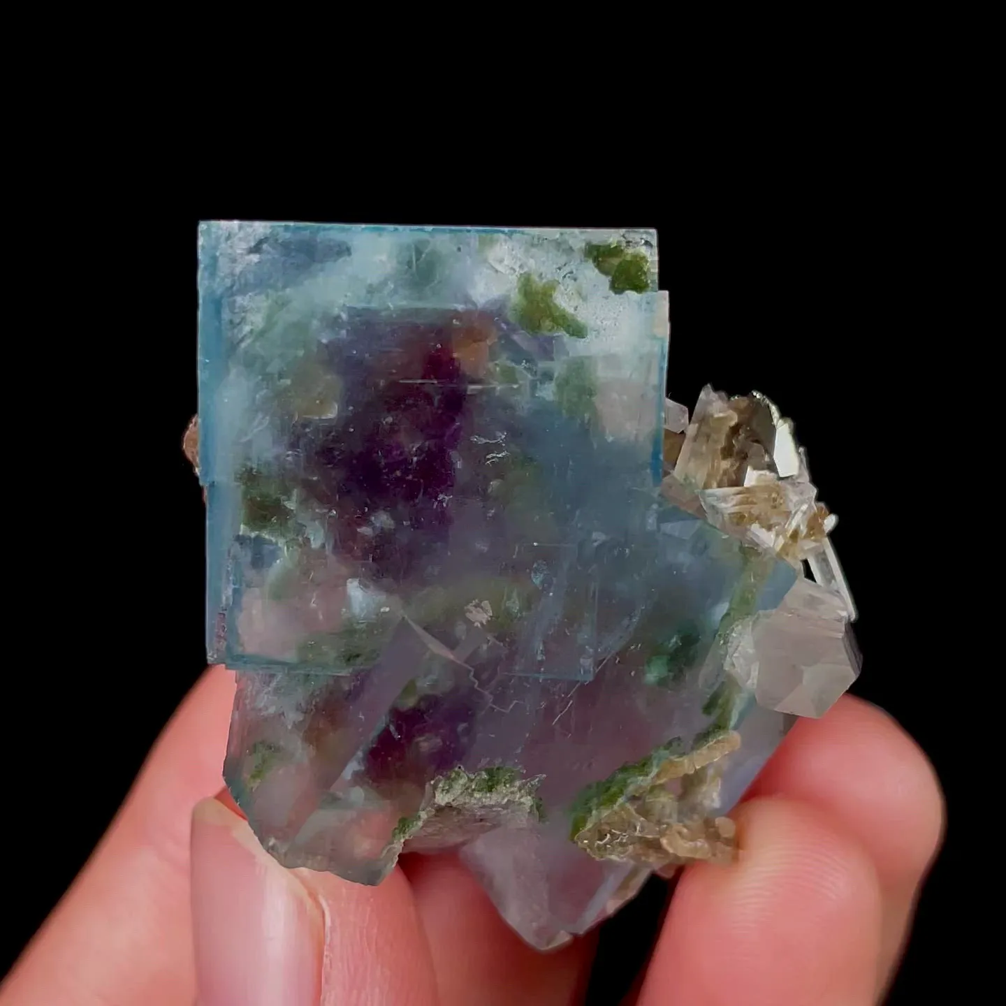 specimen video