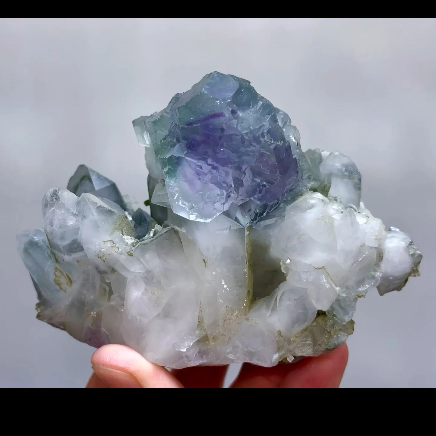 specimen video