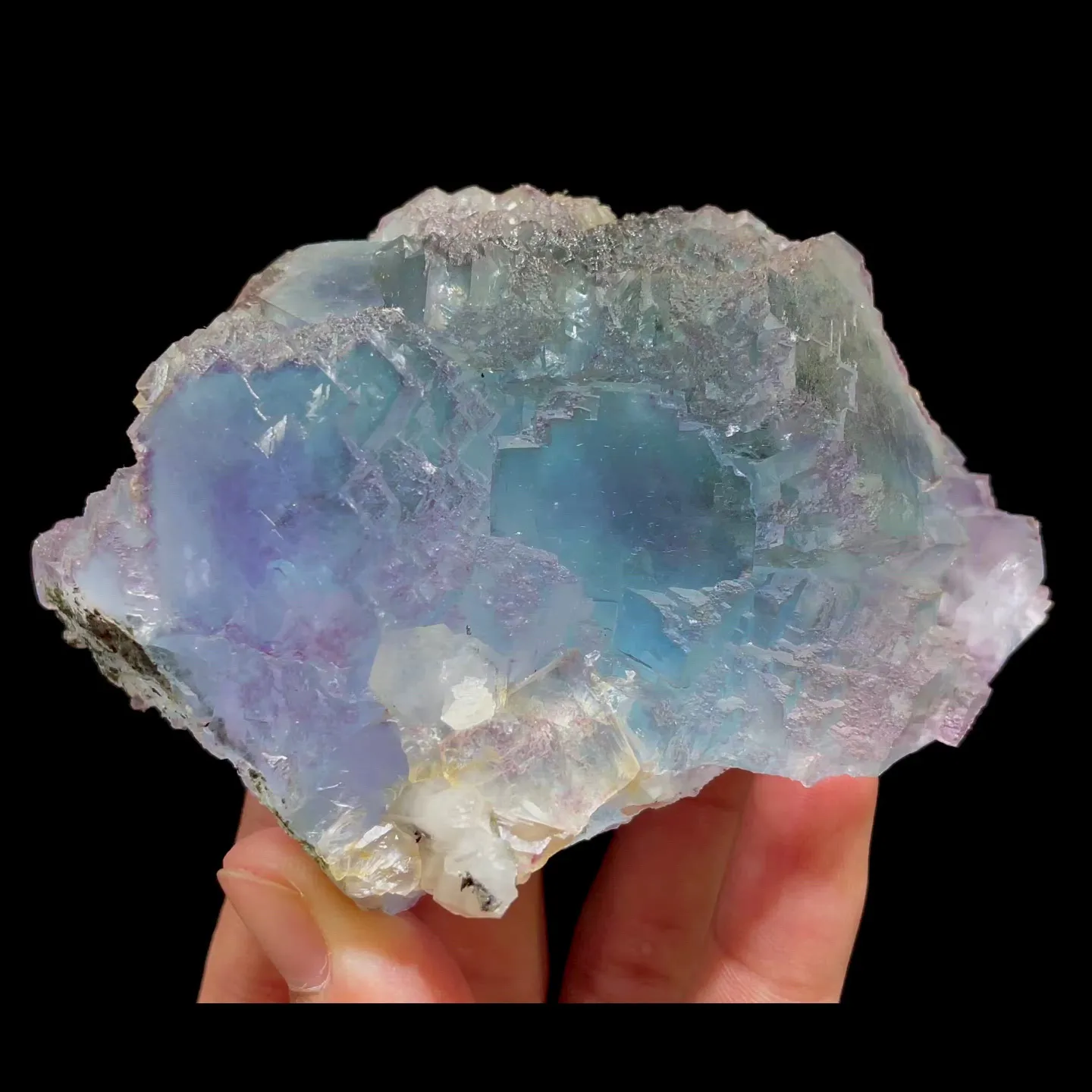specimen video