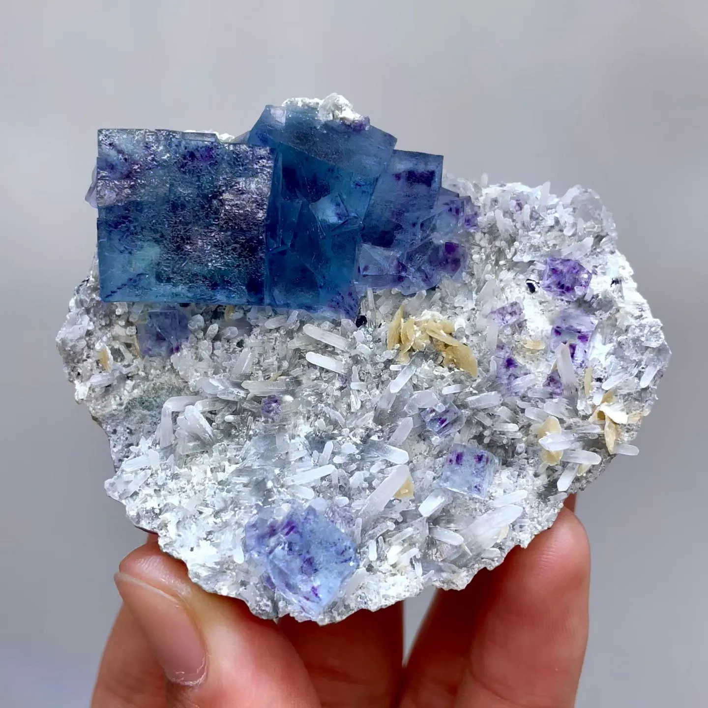 specimen video