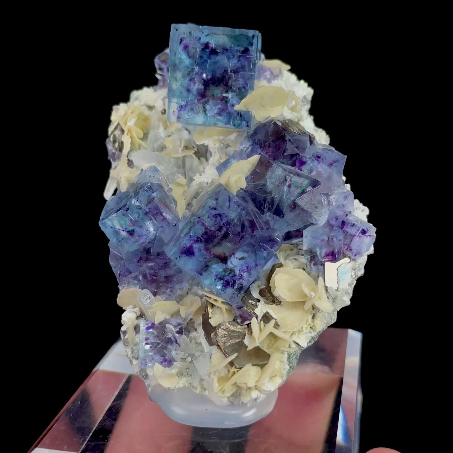 specimen video
