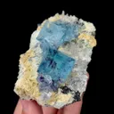 specimen video