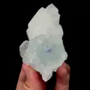 specimen video