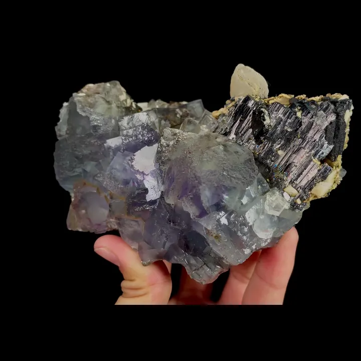 Natural Blue Phantom Fluorite and Wolframite, Mineral Specimen:Yaogangxian,Hunan (120*85*45MM) image