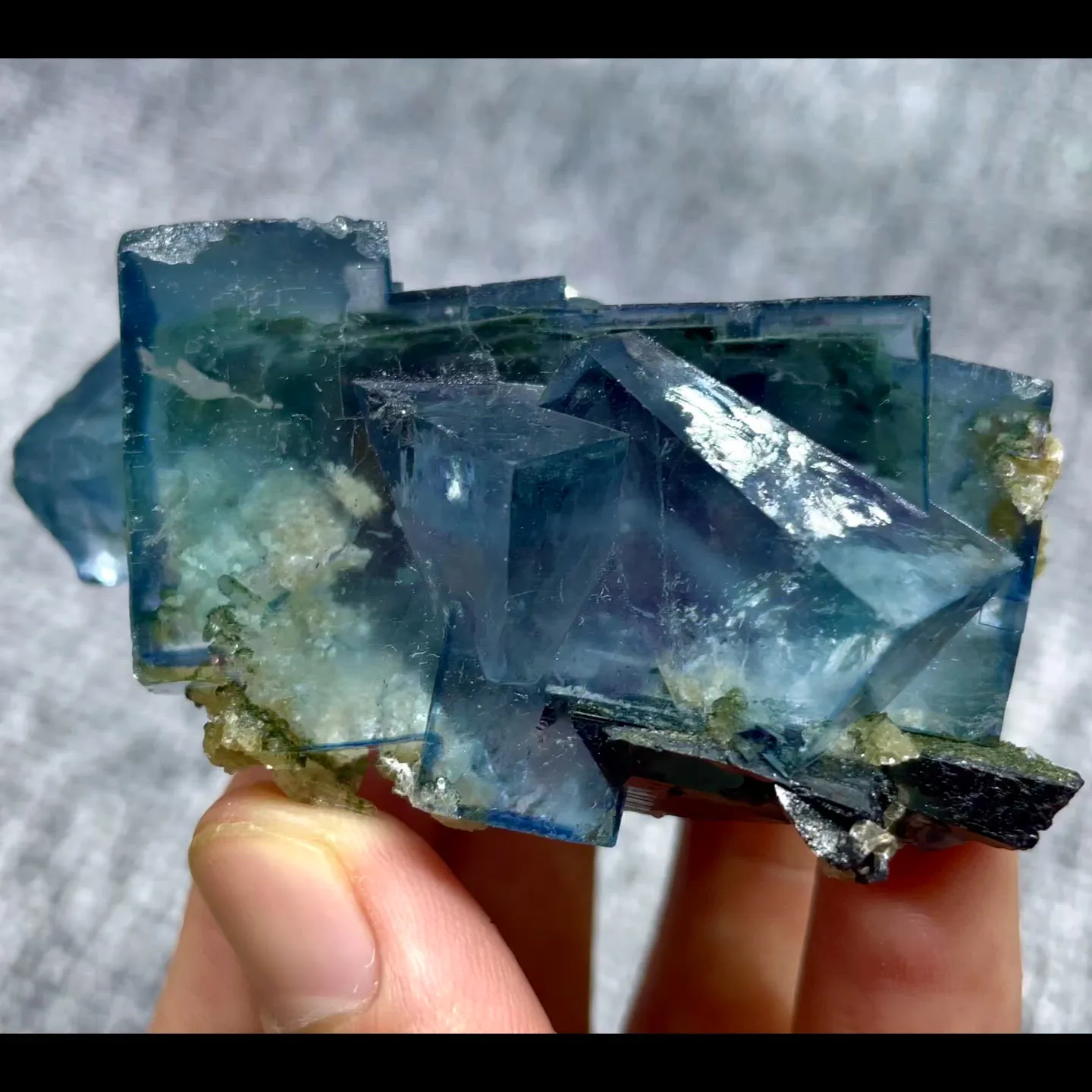 specimen video