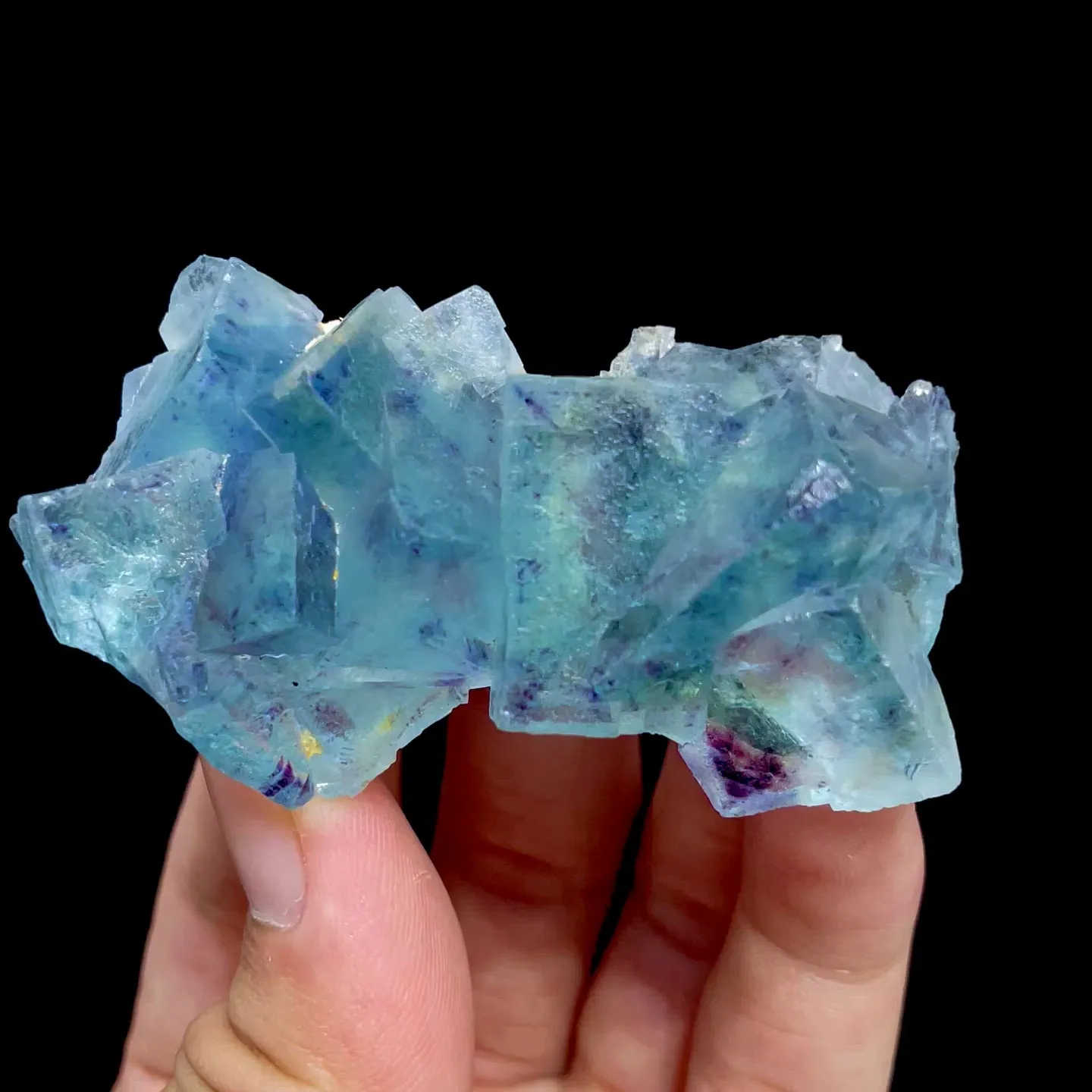 specimen video