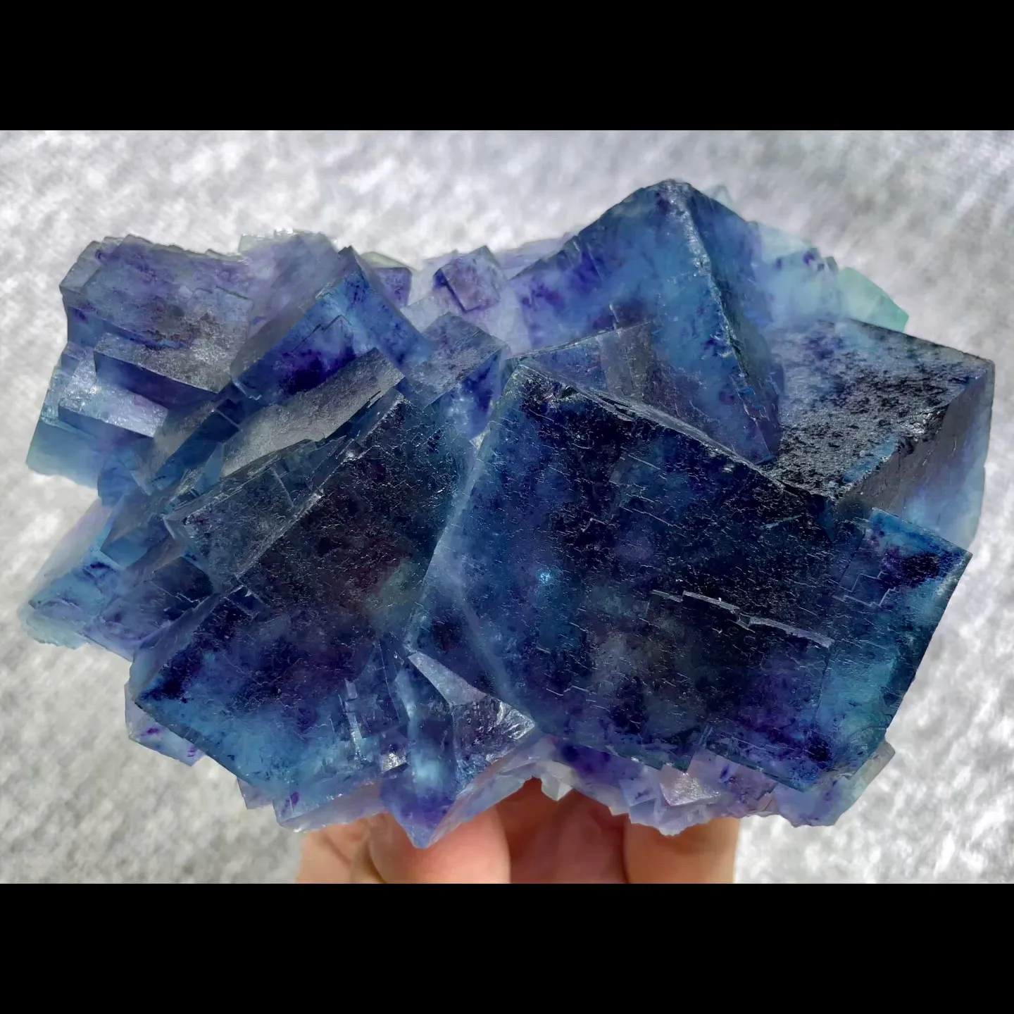 specimen video