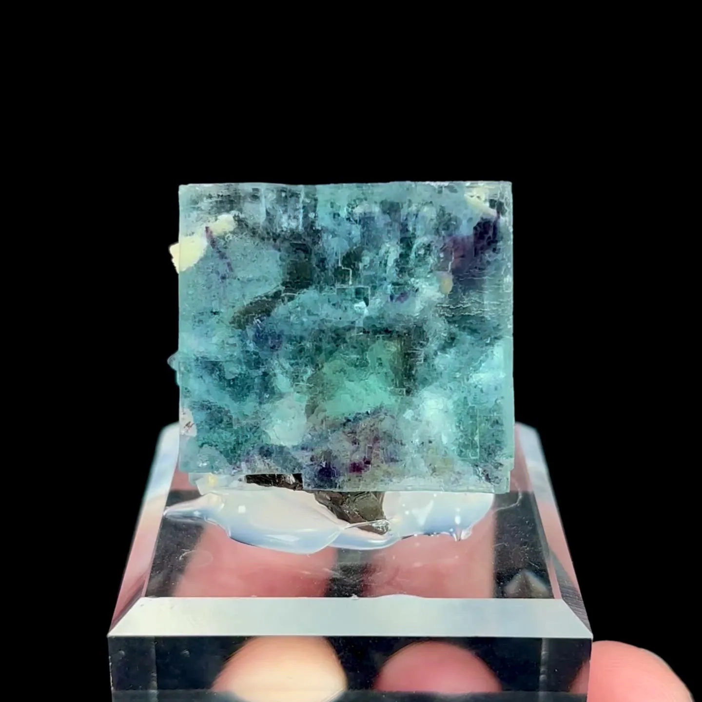 specimen video