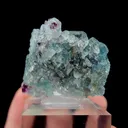Natural Blue Phantom Fluorite, Mineral Specimen: Yindu,Inner Mongolia (40*25*40MM) - image 2