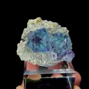 specimen video