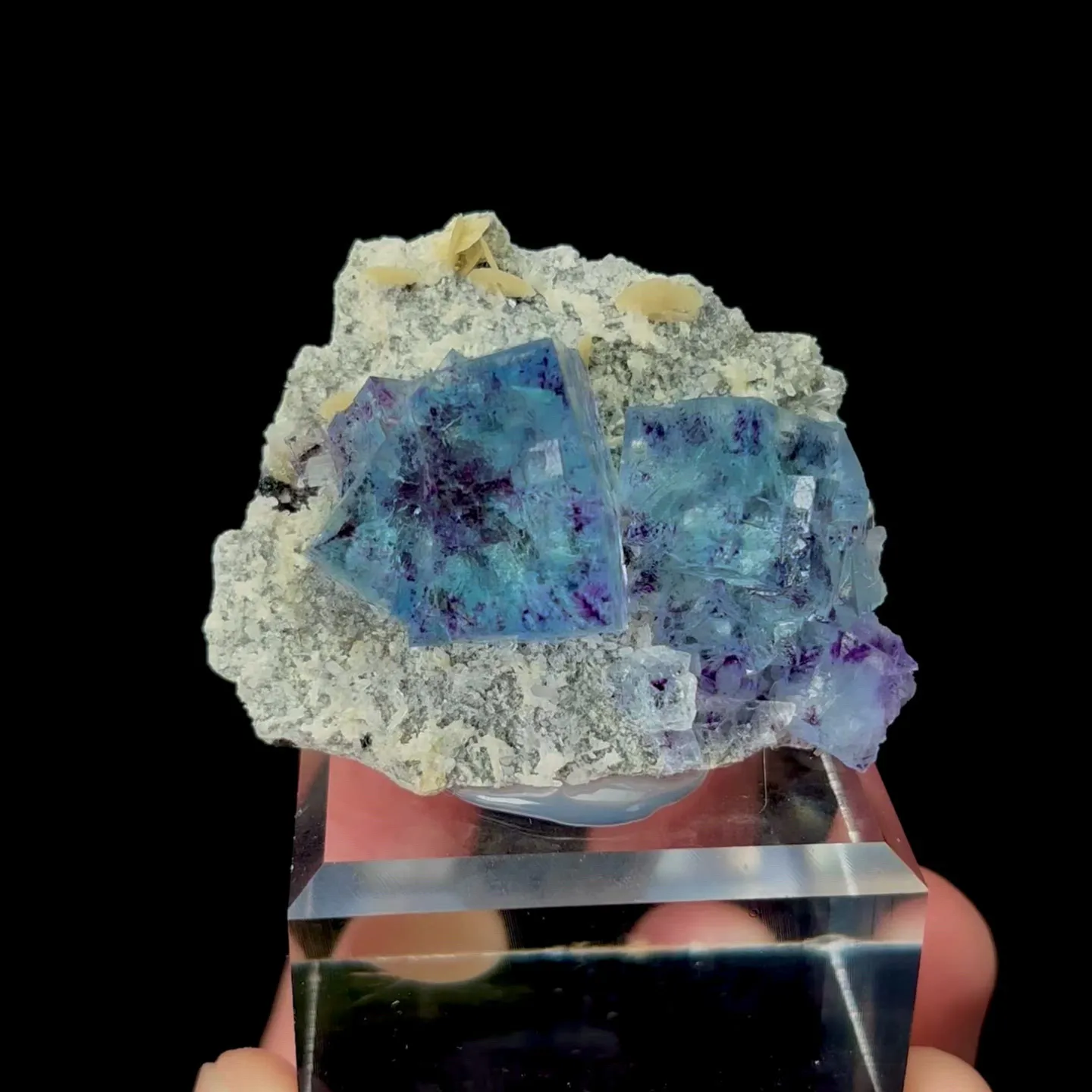 specimen video