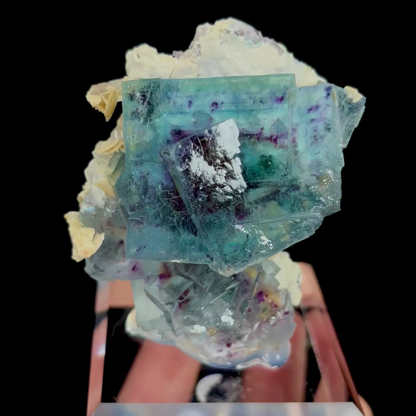 specimen video